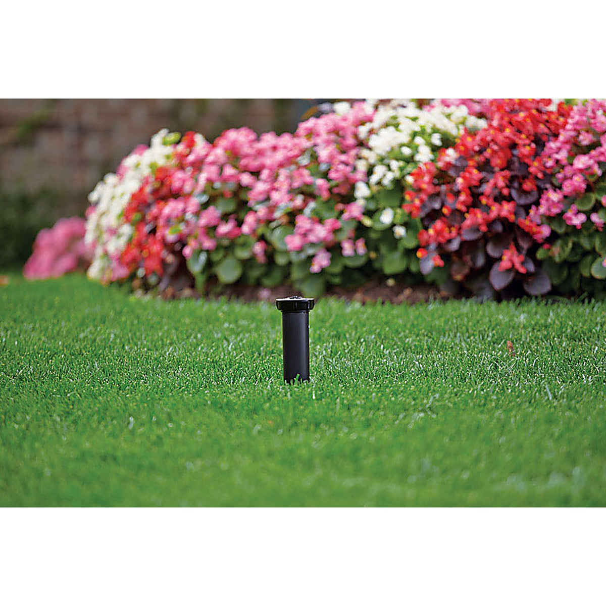 Rain Bird - 1804HEVN15 - 1800 Series Full-Circle Drip Irrigation Micro Spray 1 GPH 1 Pack
