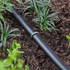 Raindrip 397025B Drip Irrigation Tubing Stake 25/Pack