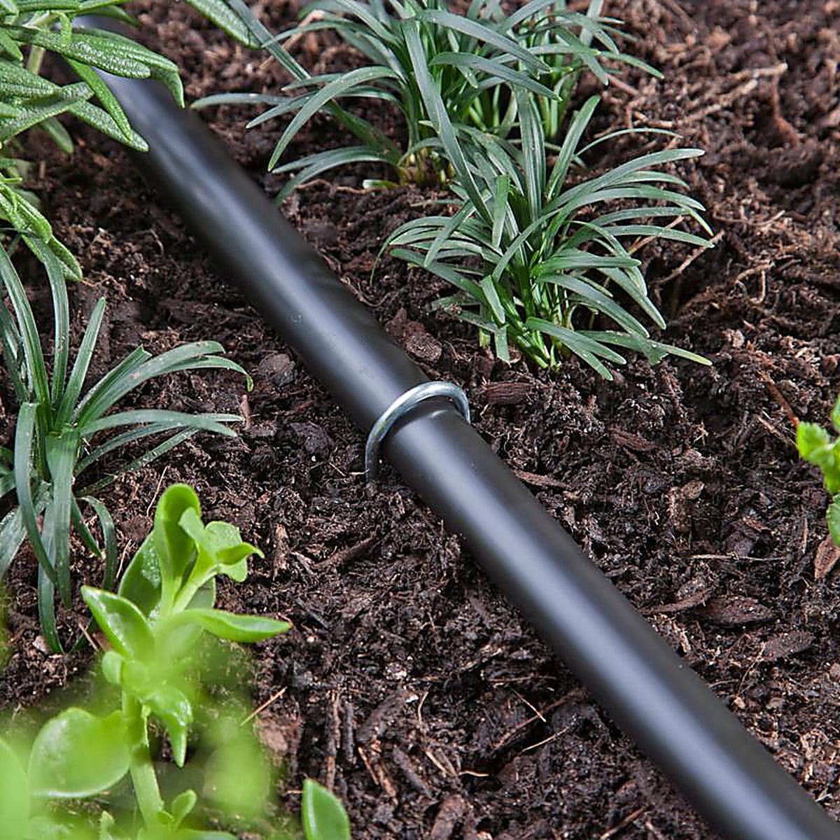 Raindrip 397025B Drip Irrigation Tubing Stake 25/Pack