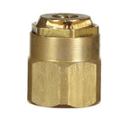 Champion S9S 1/2 in. Dia. x 14.5 L Spray Head Cap