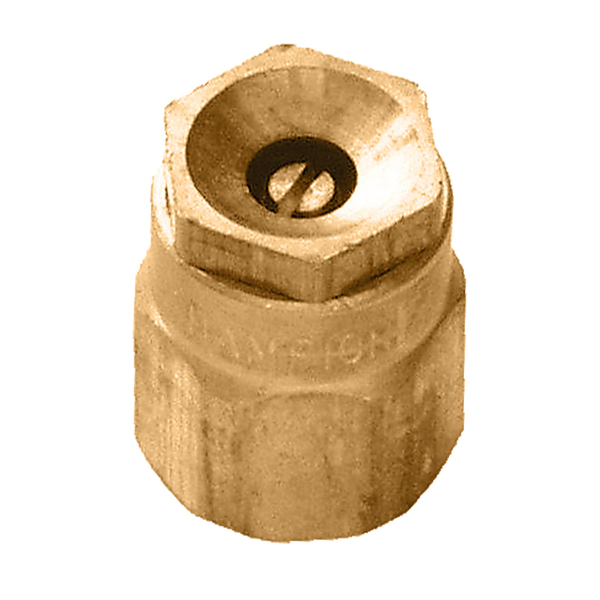 Champion S9S 1/2 in. Dia. x 14.5 L Spray Head Cap