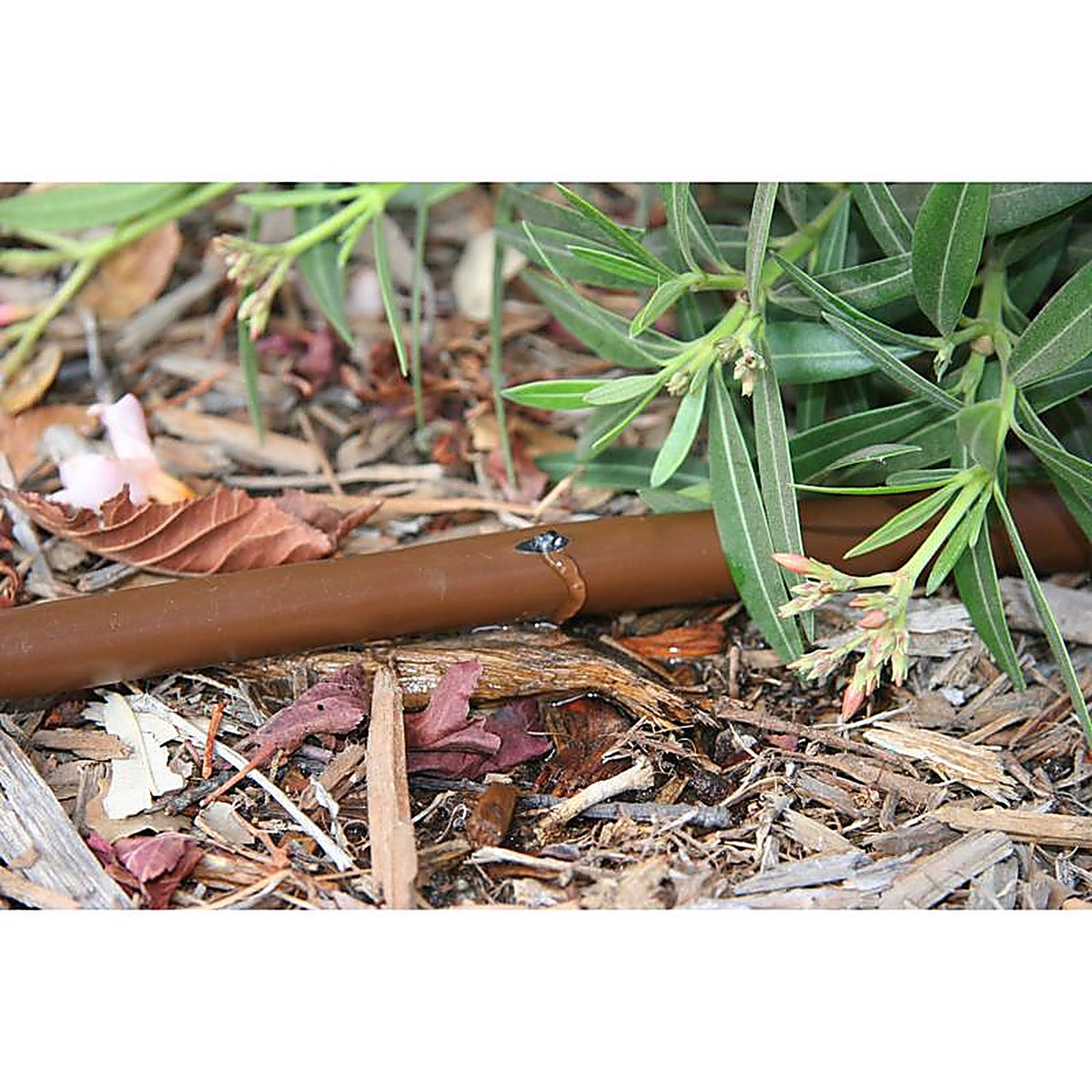 Rain Bird ET256-50S Plastic Drip Irrigation Emitter Tubing 1/4 in. Dia. x 50 ft. L