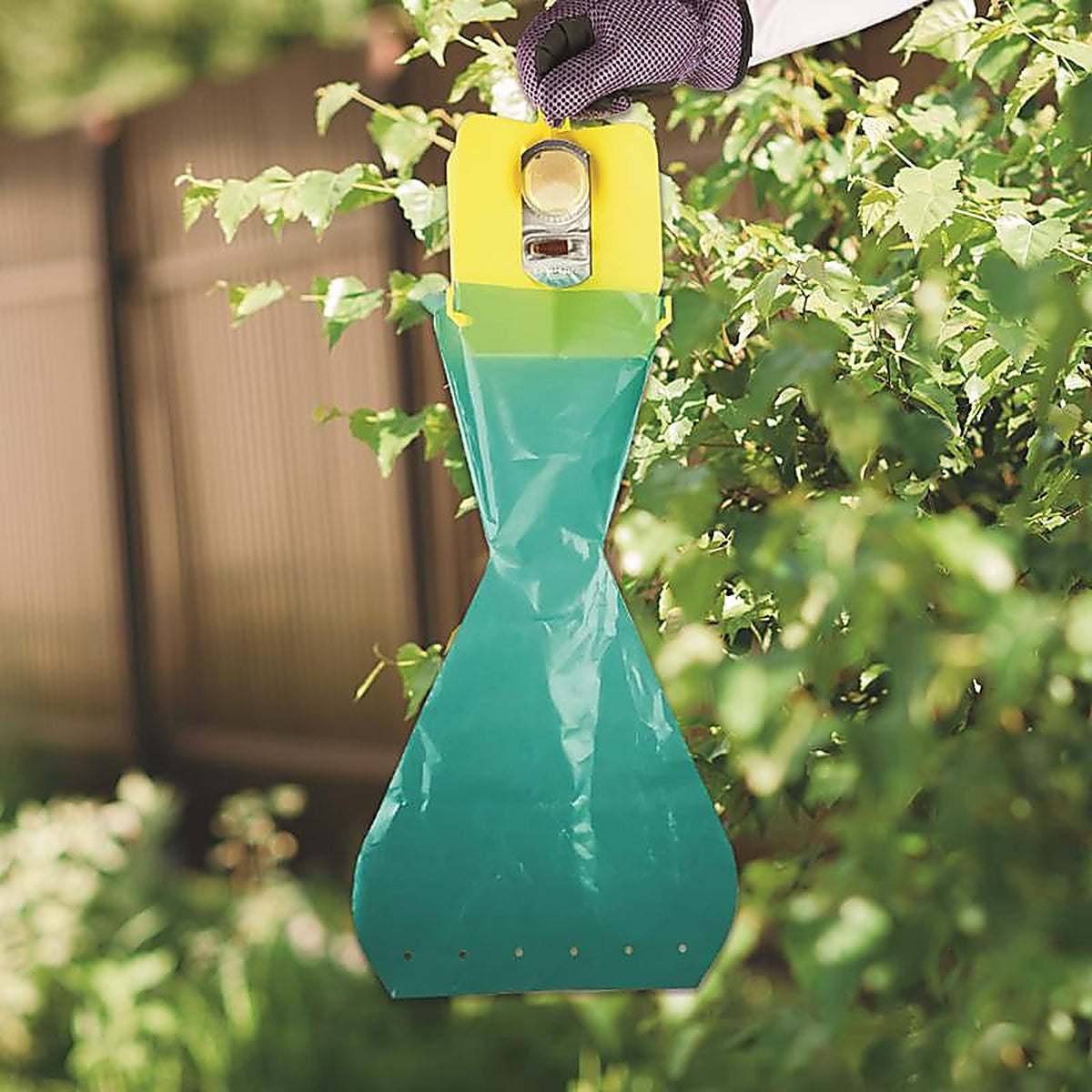 Bonide - 1971 - Beetle Bagger Beetle Trap Bag 6 Pack