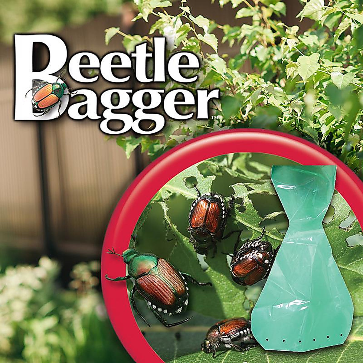 Bonide - 1971 - Beetle Bagger Beetle Trap Bag 6 Pack