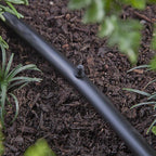 Raindrip 646010B Drip Irrigation Hole Plug 10/Pack