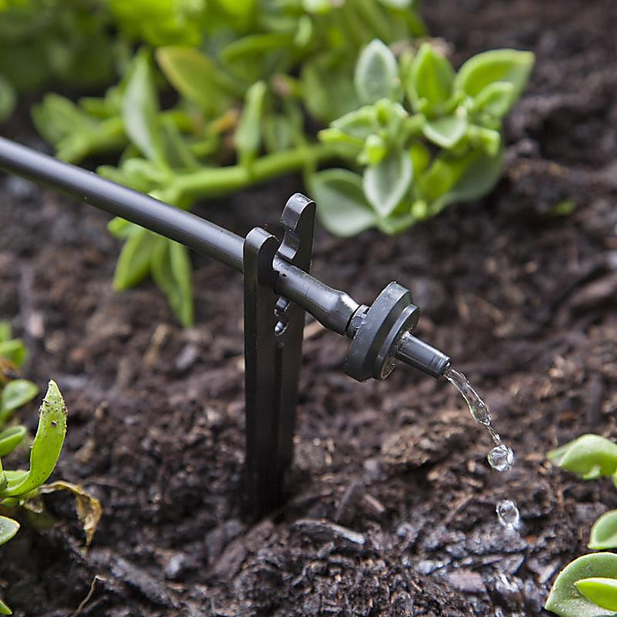 Raindrip PC4010B Spot Drip Irrigation Dripper 1 gph