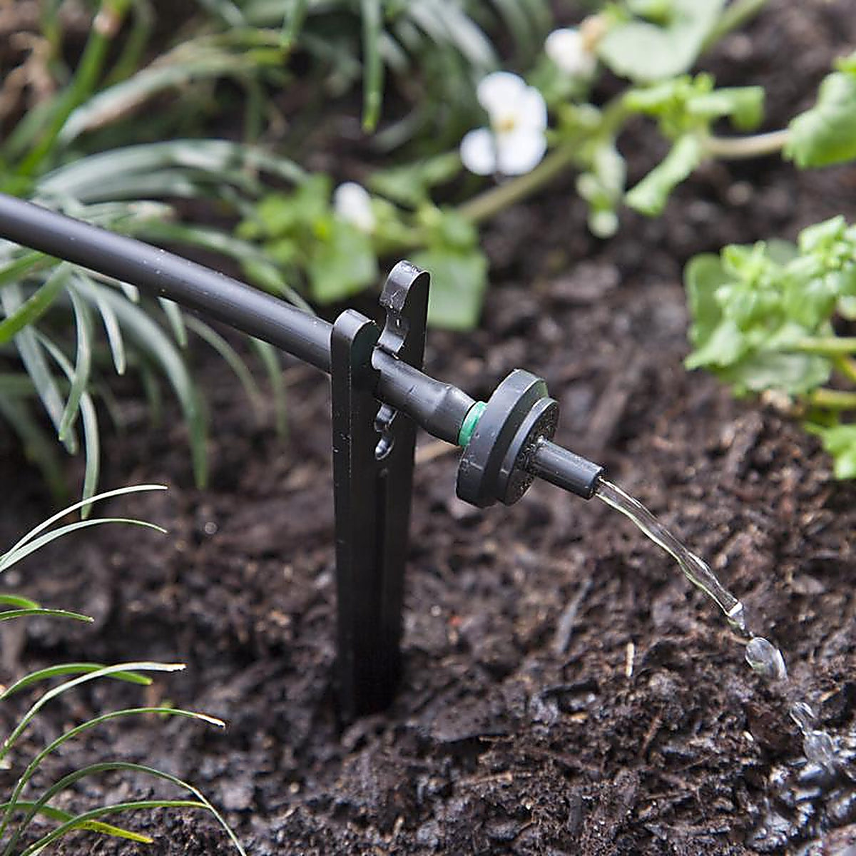 Raindrip PC8010B Spot Drip Irrigation Dripper 2 gph