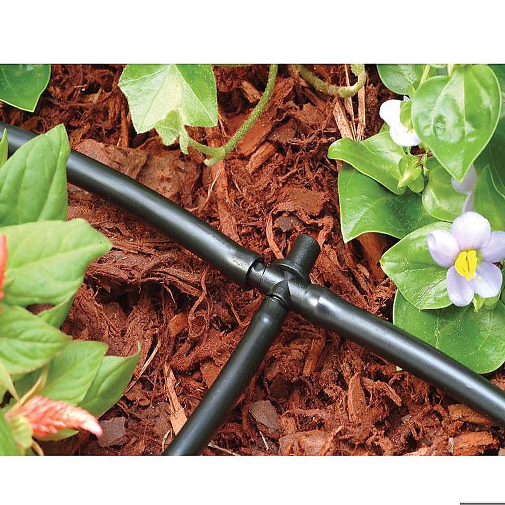 Rain Bird - BT25-30PSX - 1/4 In. Barbed Drip Irrigation Tee 30 Pack