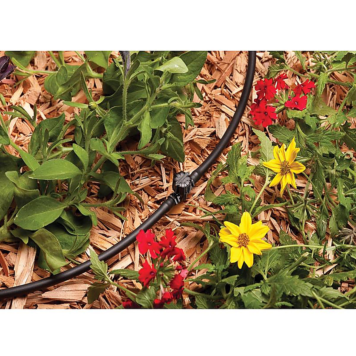 Rain Bird - BVAL25-2S - 1/4 In. Barbed Drip Irrigation Valve Connector 2 Pack