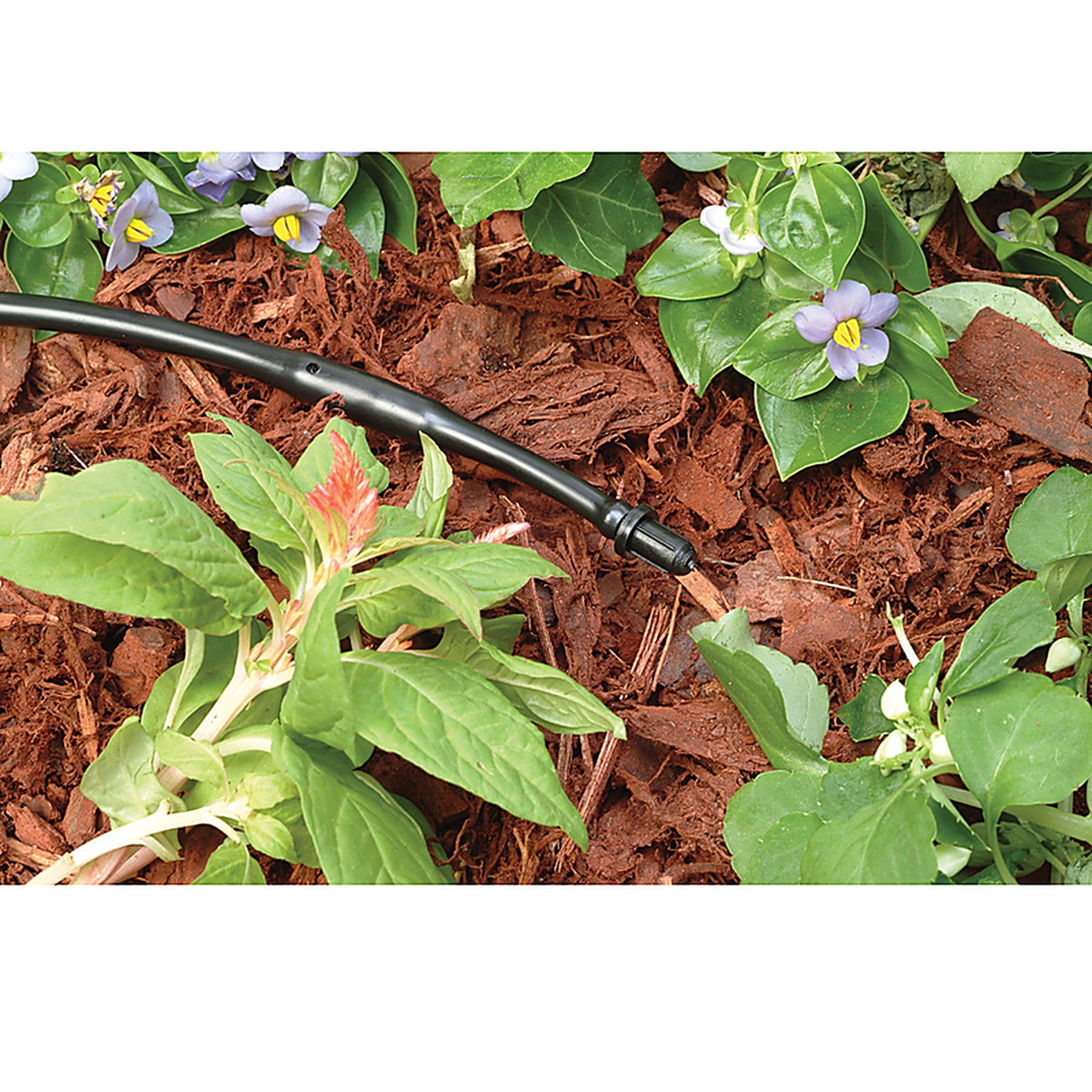 Rain Bird - TP25-30PK - 1/4 in. Drip Irrigation Adapter 10 pk