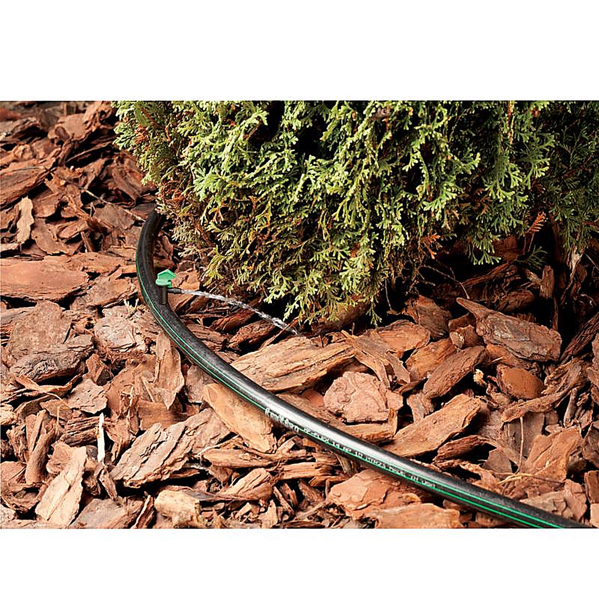 Rain Bird - FE40-25SX - Full-Circle Drip Irrigation Dripper 4 GPH 25 Pack