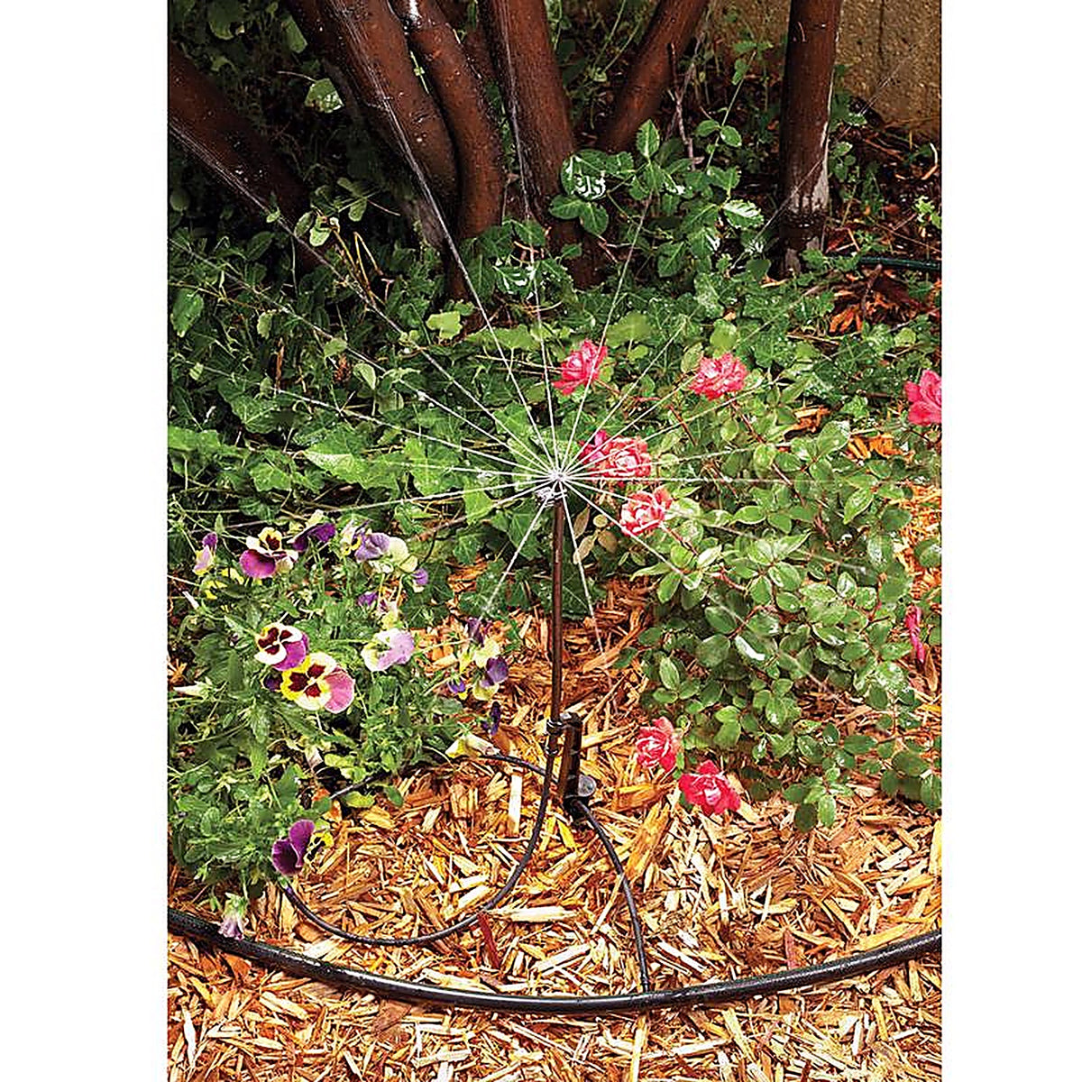 Rain Bird - MSSTKTF1S - Full-Circle Drip Irrigation Micro Sprinkler on Stake 31 GPH 1 Pack