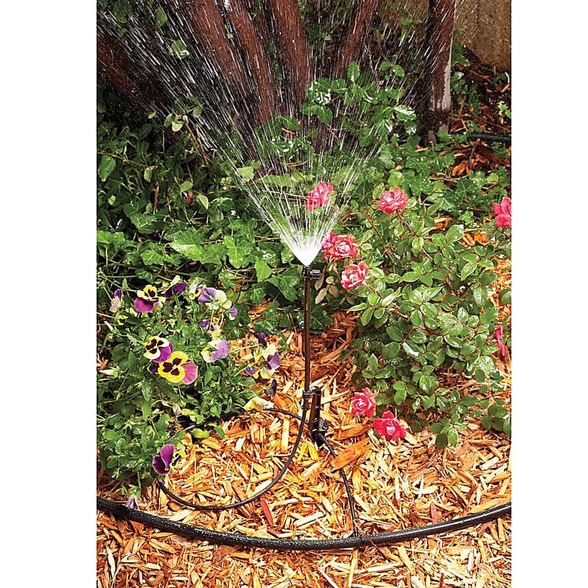 Rain Bird - MSSTKTQ1SX - Quarter-Circle Drip Irrigation Micro Sprinkler on Stake 31 GPH 1 Pack
