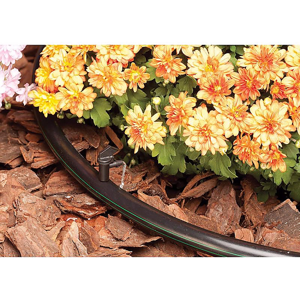 Rain Bird - FE10-25SX - Full-Circle Drip Irrigation Dripper 1 GPH 25 Pack