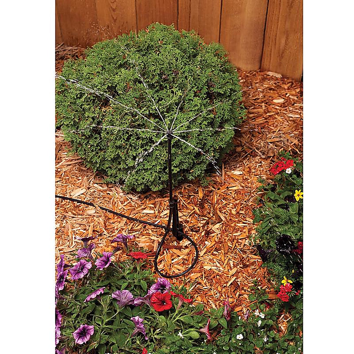 Rain Bird - MBSTKTF1SX - Full-Circle Drip Irrigation Micro Spray 13 GPH 1 Pack