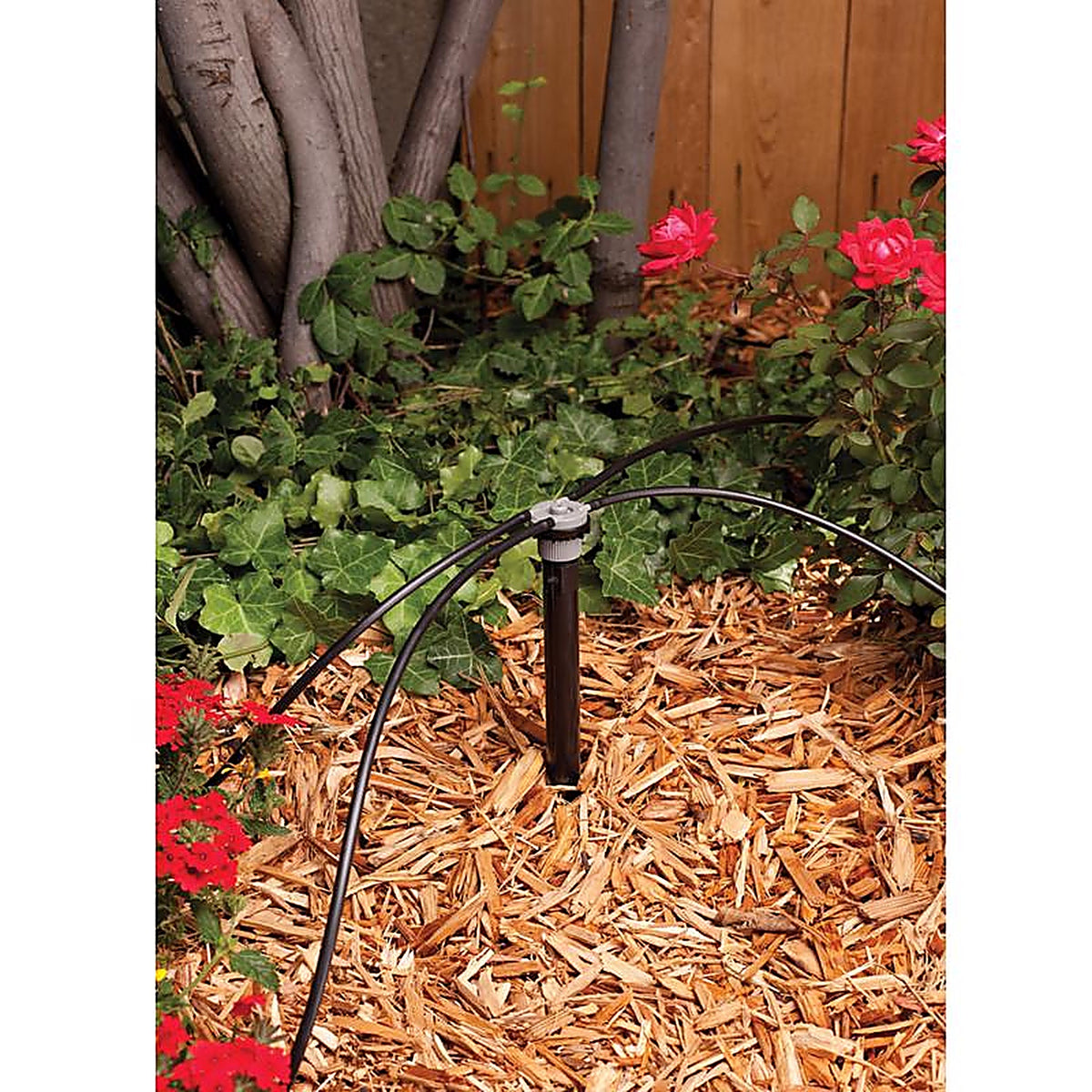 Rain Bird - MANIFRE4S - 4 Ports Drip Irrigation Manifold