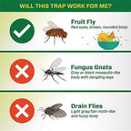 RESCUE FFTA-DB12 Fruit Fly Trap 0.51 oz