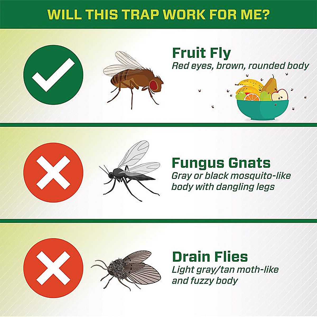 RESCUE FFTA-DB12 Fruit Fly Trap 0.51 oz