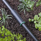 Raindrip R310CT Compression 1/2 in. Drip Irrigation Coupler 2/Pack