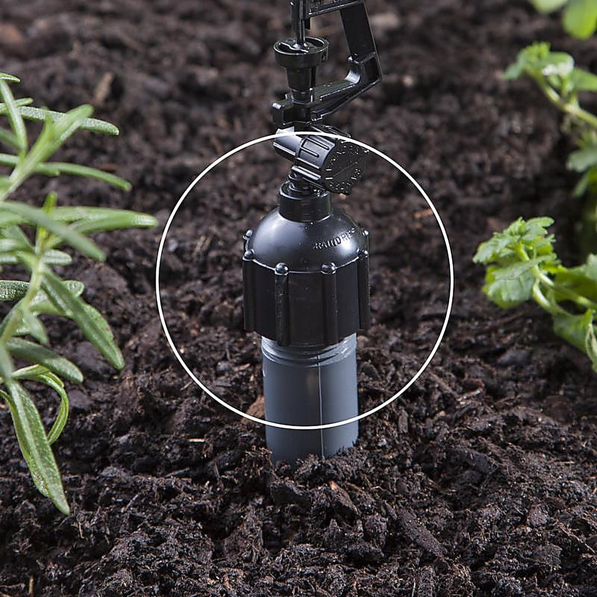 Raindrip R336CT 1/2 in. Drip Irrigation Adapter 1/Pack