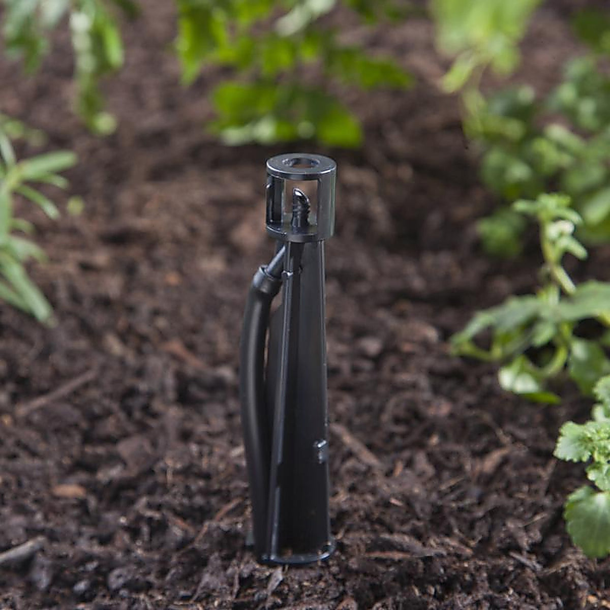 Raindrip R382CT Drip Irrigation Tubing Stake 8 in. L 3/Pack