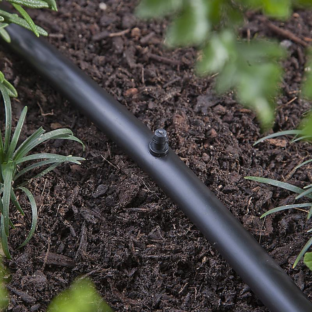 Raindrip R645CT Drip Irrigation Hole Plug 20/Pack