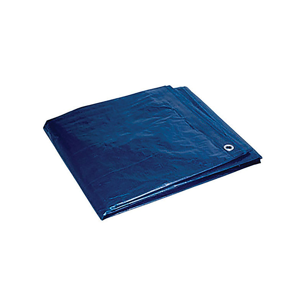 Foremost - 81012 - 10 Ft. W X 12 Ft. L Heavy Duty Polyethylene Tarp Blue