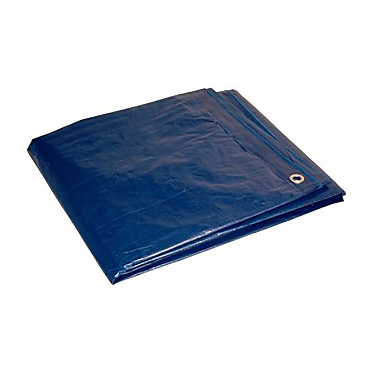 Foremost - 81620 - 16 Ft. W X 20 Ft. L Light Duty Polyethylene Tarp Blue