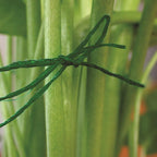 Panacea - 86840 - 0.08 In. W Green Fabric Garden Twine
