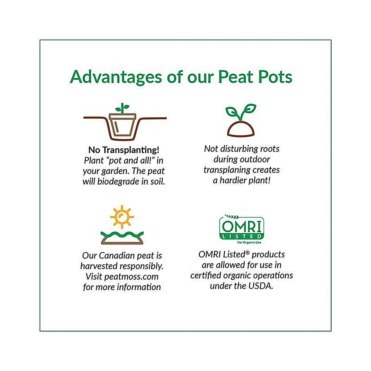 Jiffy - JP406 - 1 Cells 4 In. H X 4 In. W Seed Starting Peat Pot 6 Pack