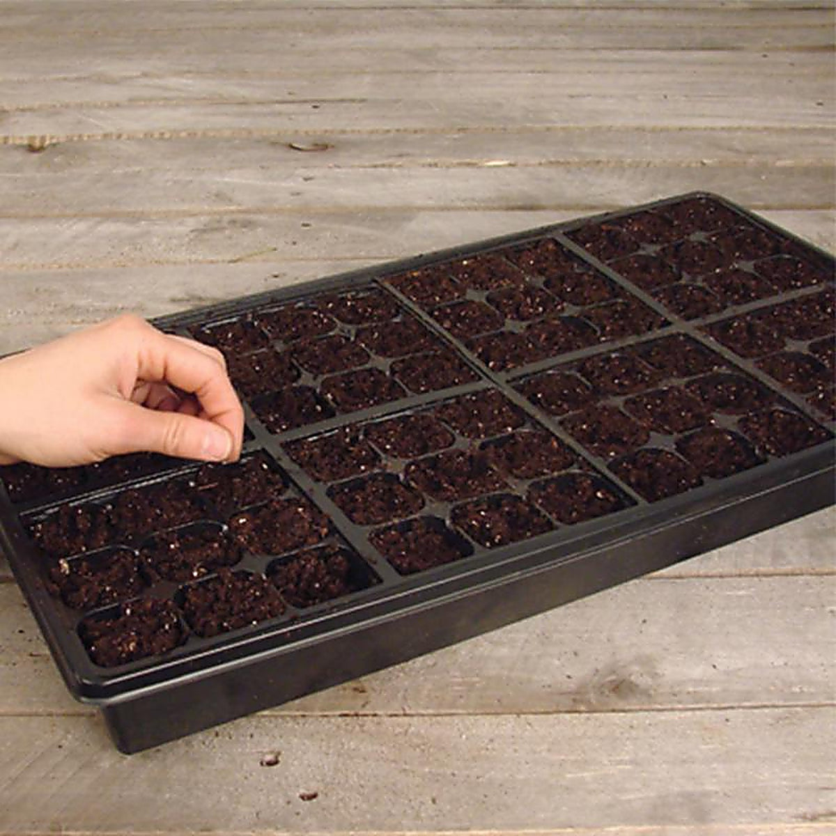Jiffy - T72HST-14 - Greenhouse 72 Cells 11 In. W X 22 In. L Seed Starting Kit 1 Pack