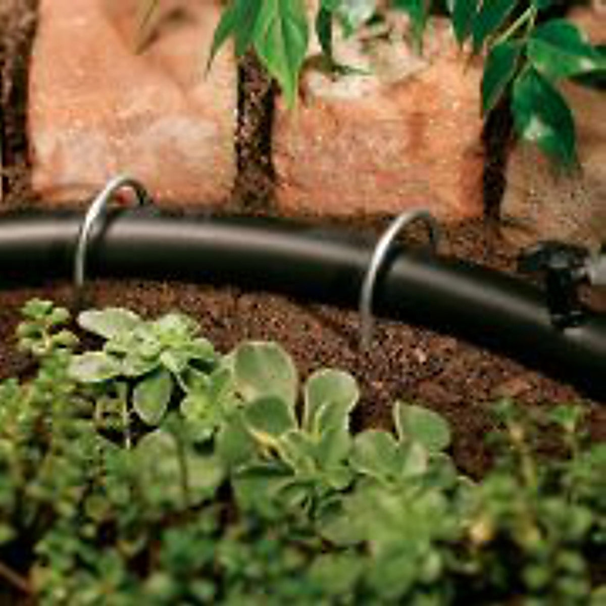 Orbit 65731 Drip Irrigation Tubing Stake 10/Pack