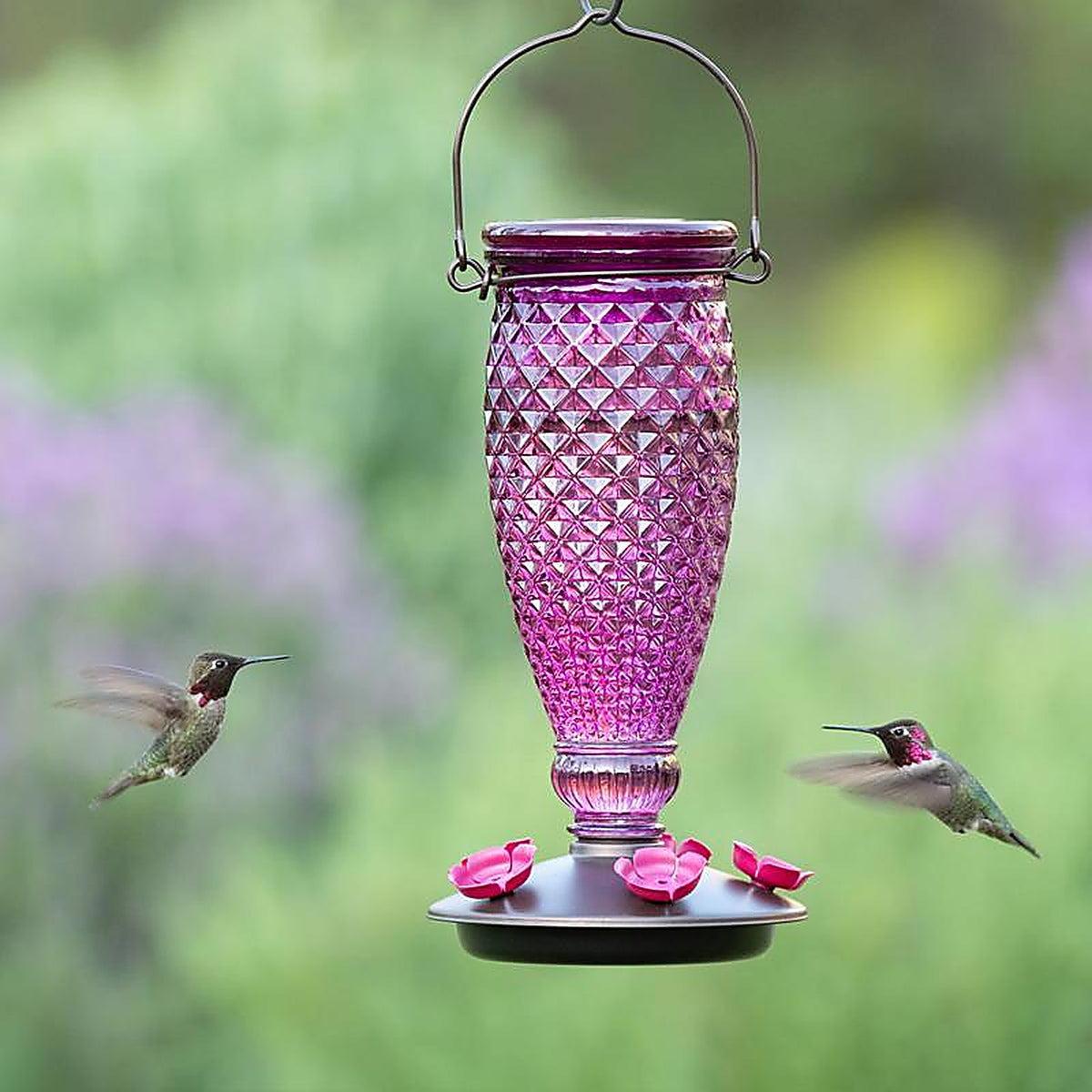 Perky-Pet 9102-2 Hummingbird 24 oz. Glass/Plastic Diamond Wine Nectar Feeder 5 ports