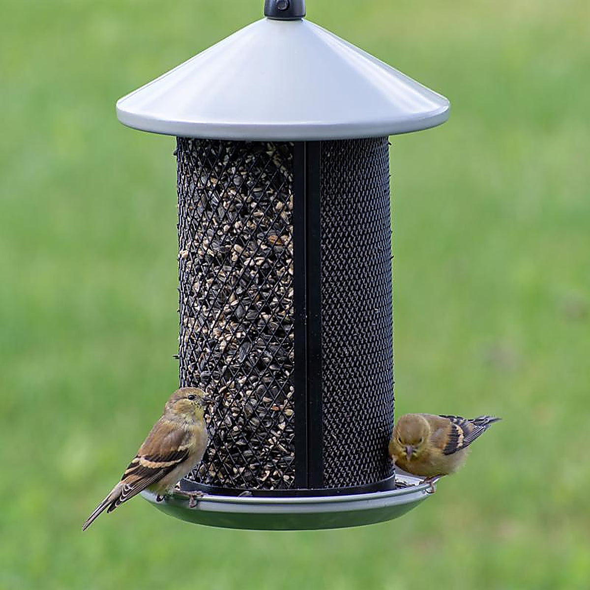 Perky-Pet TSS00349 Finch 2.8 lb. Metal Mesh Bird Feeder