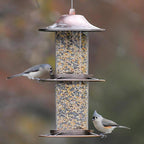Perky-Pet 325C Wild Bird 4.5 lb. Copper Panorama Bird Feeder 2 ports