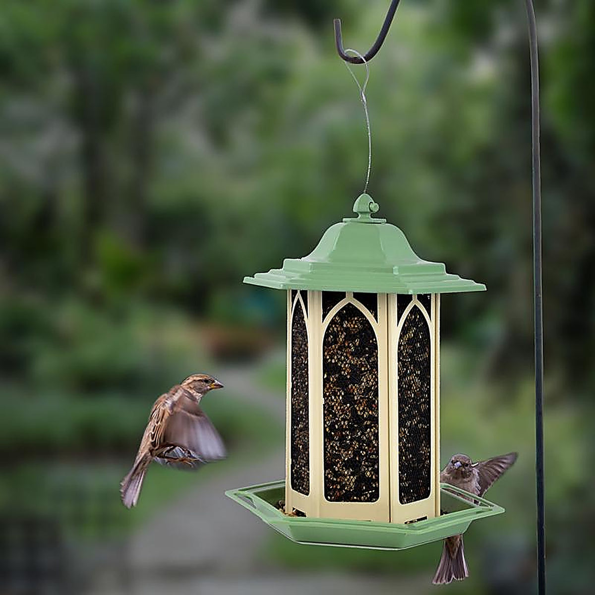 Perky-Pet GAZ01 Wild Bird 3.5 lb. Metal Gazebo Chalet Bird Feeder