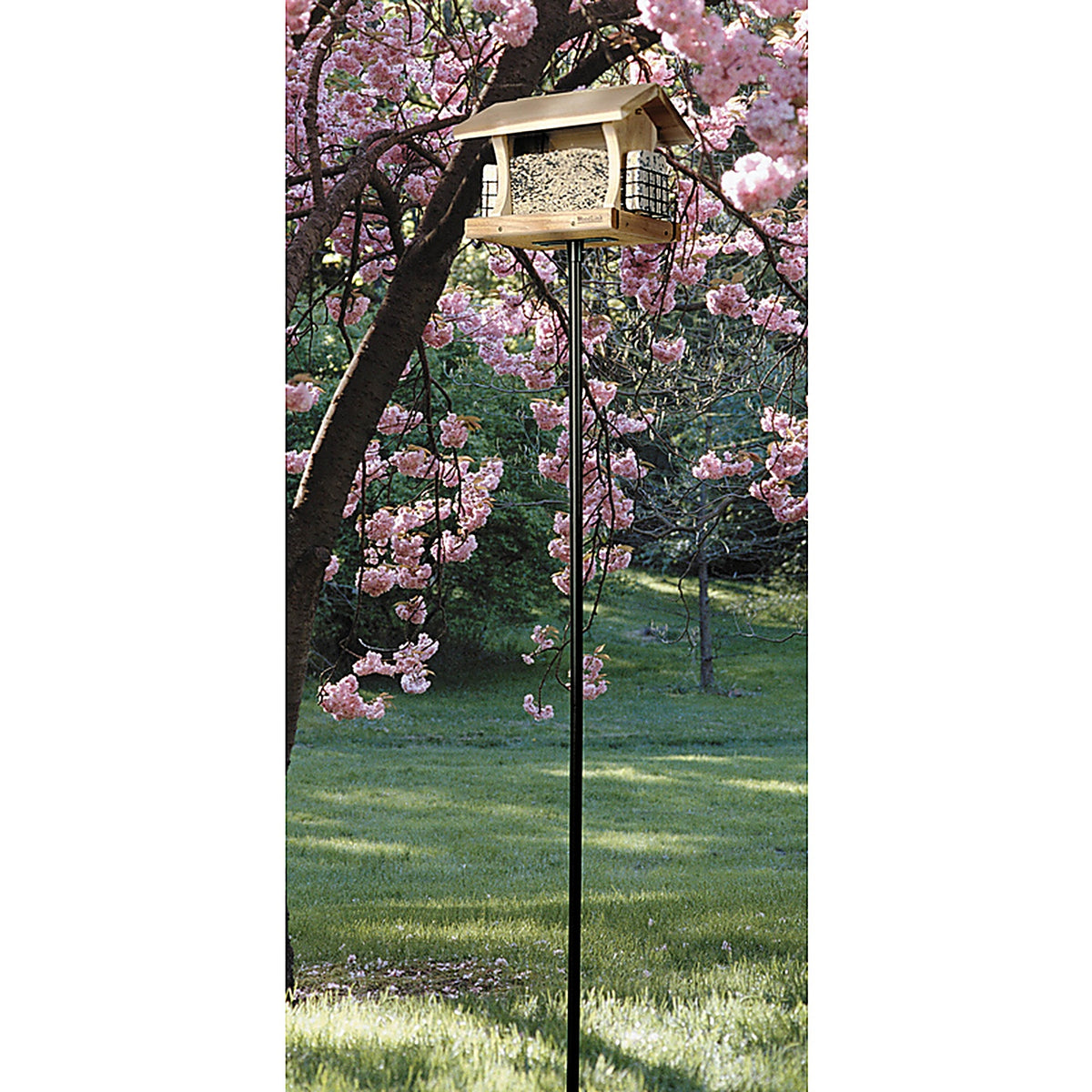 Woodlink 24289 Bird Feeder Pole