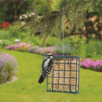 Woodlink 25121 Wild Bird Metal Small Suet Cage
