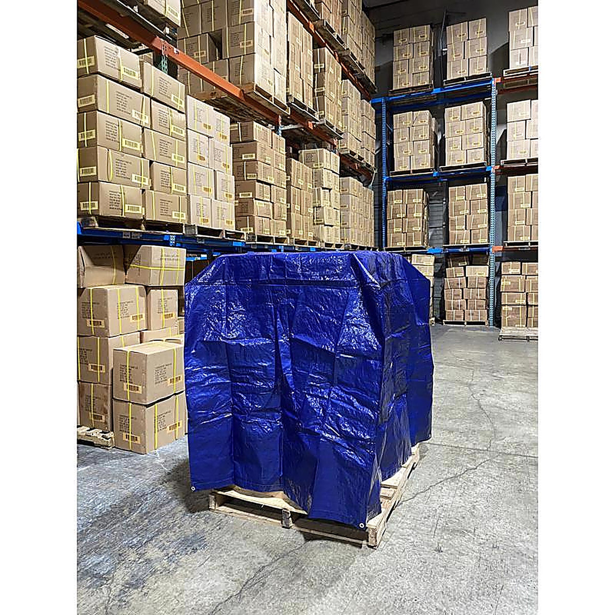 Foremost - 40454 - Dry Top 48 In. W X 5 Ft. L Pallet Cover 1 Pack