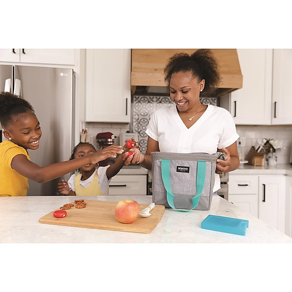 Igloo - 25211 - Freezer Block Blue 2 Pack