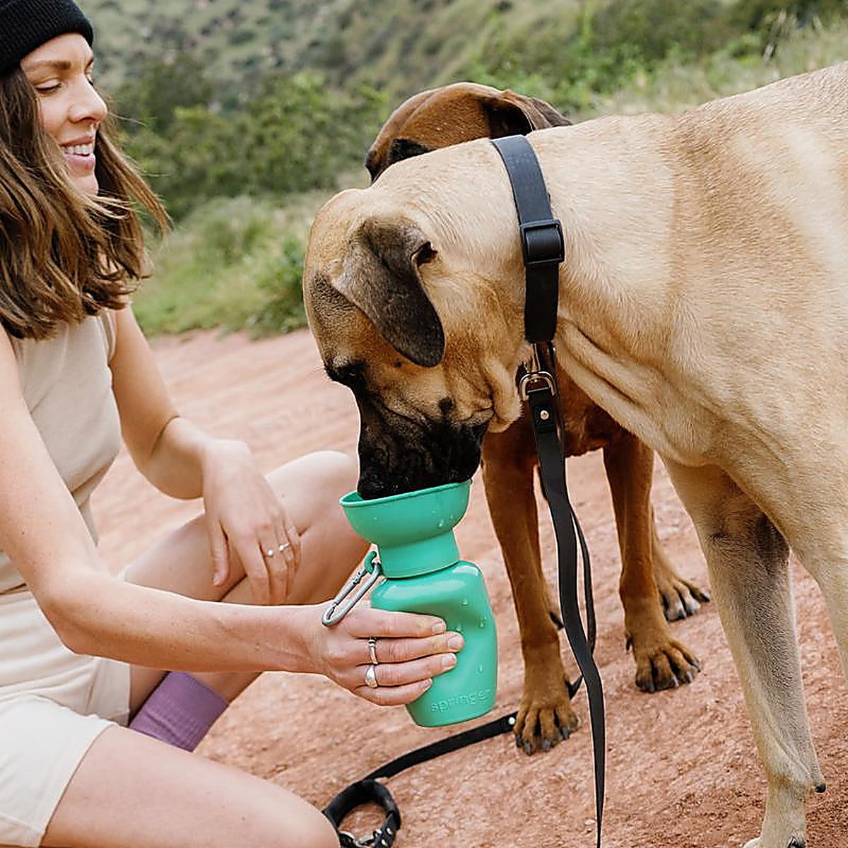Springer - FL2003-12 - Green Flip Plastic Pet Travel Bottle for Dogs