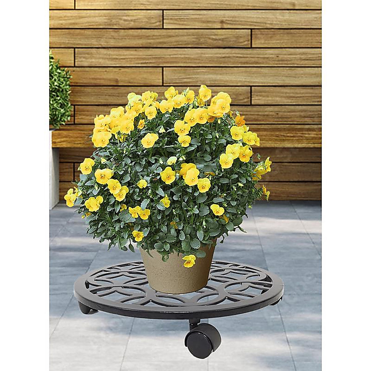 Living Accents - 58062 - 3 In. H Black Iron/Plastic Wheeled Plant Stand