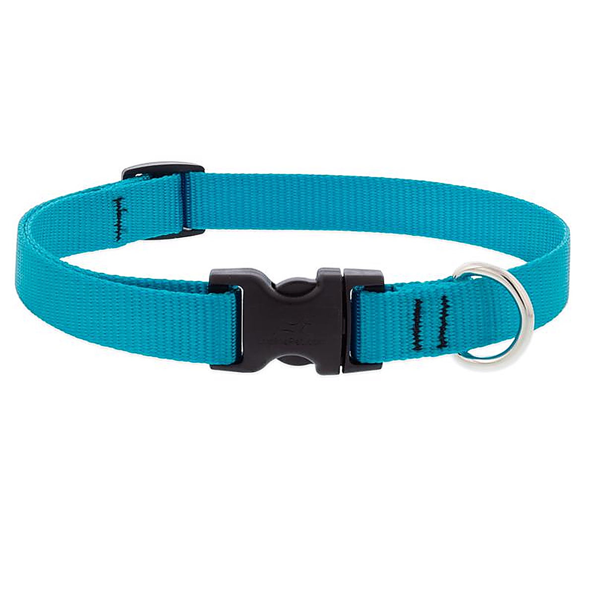 LupinePet - 15001 - Aqua Nylon Dog Adjustable Collar Medium