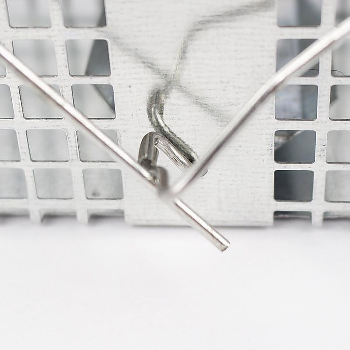 Havahart - 1020 - Small Live Catch Cage Trap for Mice 1 Pack