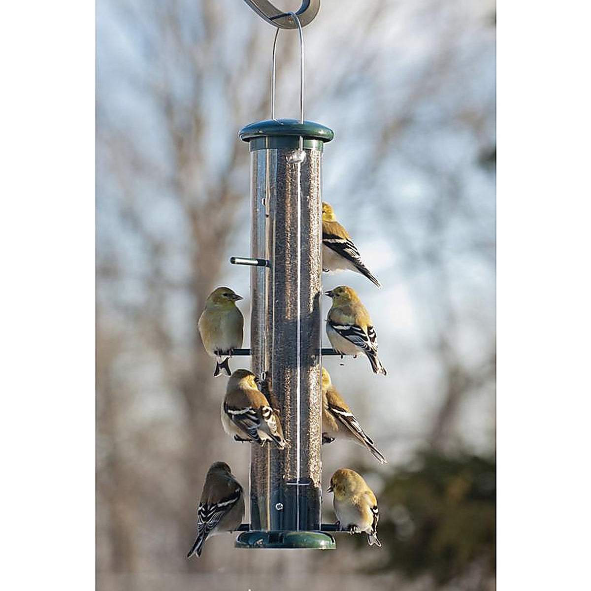 Audubon NATUBE9 Finch 2 lb. Plastic Thistle Tube Bird Feeder 8 ports