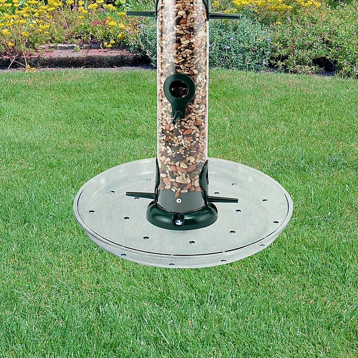 Audubon - 23921 - 10.38 In. H X 10.38 In. W X 1.25 In. D Wild Bird Food Preserver