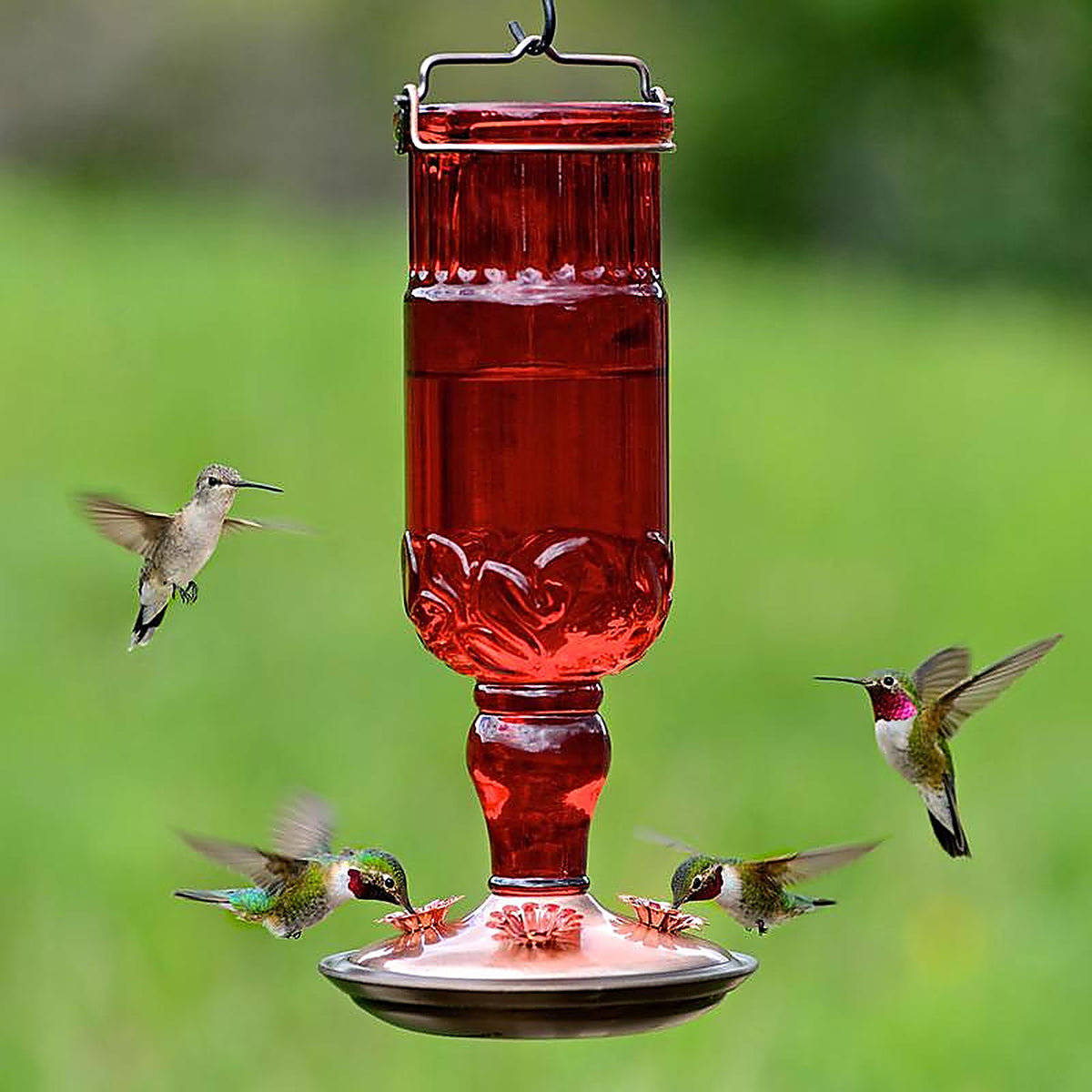 Perky-Pet 8119-2 Hummingbird 24 oz. Glass Nectar Feeder 4 ports
