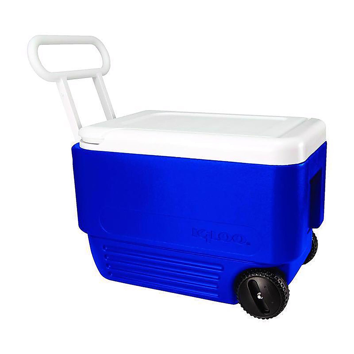 Igloo 34482 Wheelie Cool Cooler 38 qt. Blue