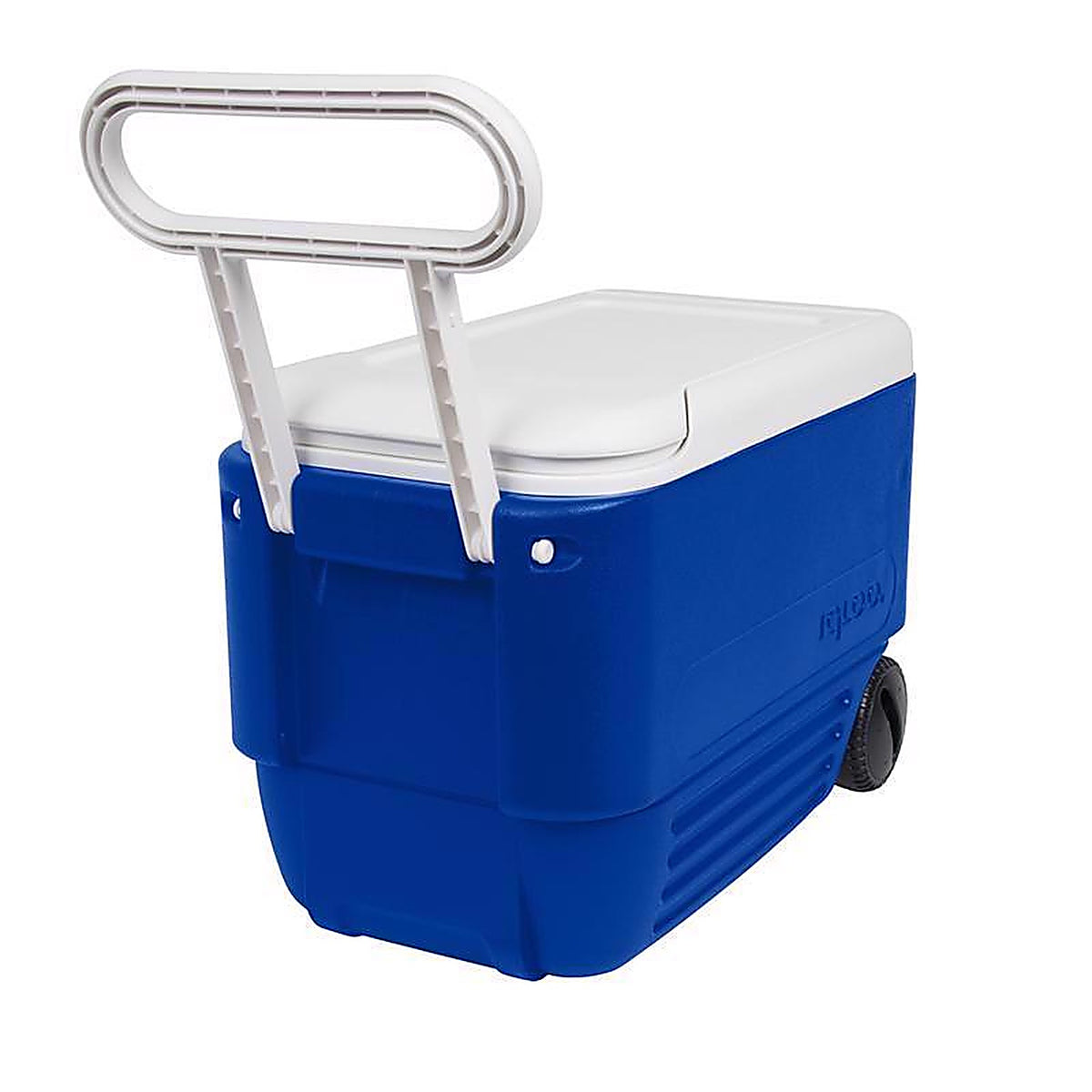 Igloo 34482 Wheelie Cool Cooler 38 qt. Blue