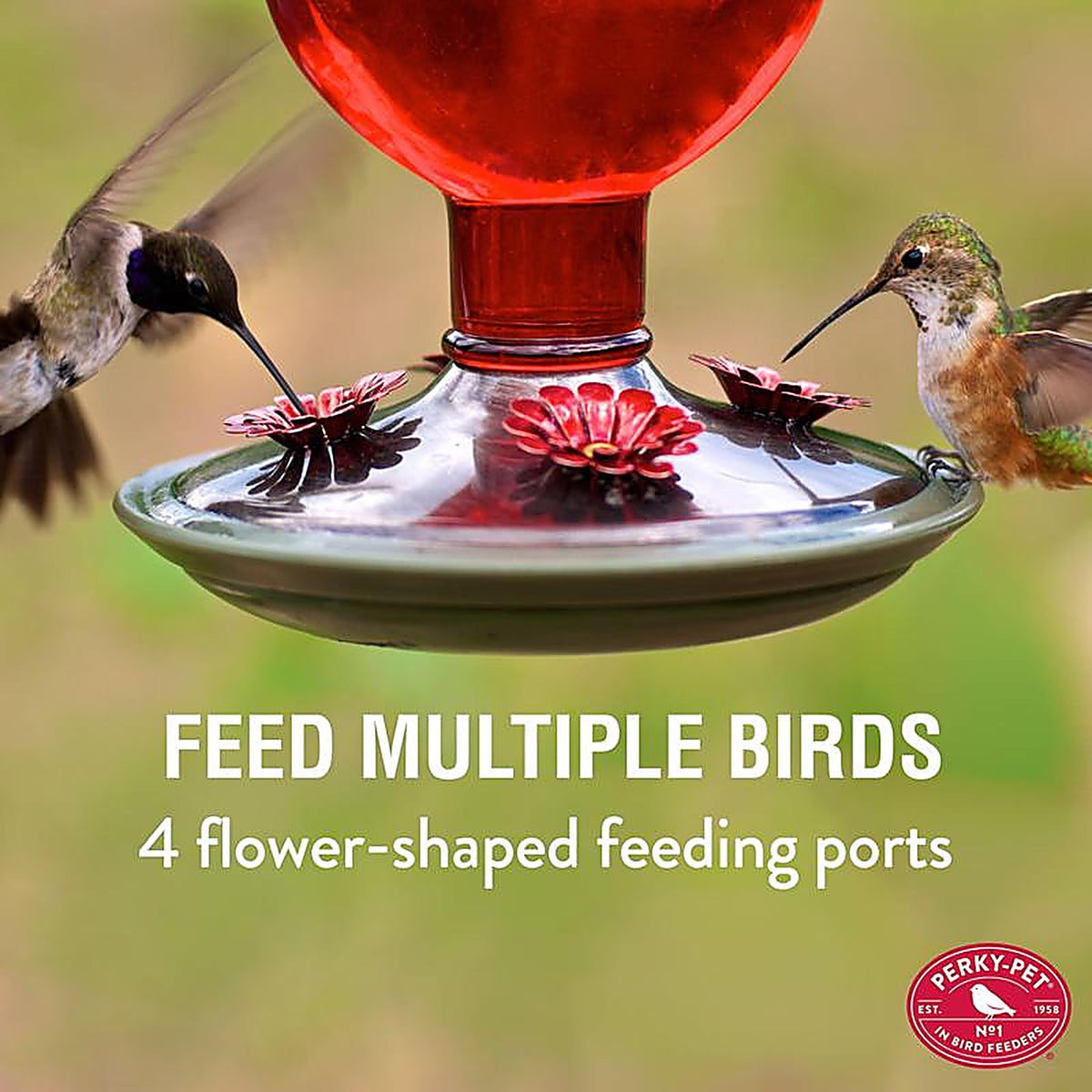Perky-Pet 8109-2 Hummingbird 16 oz. Glass Nectar Feeder 4 ports